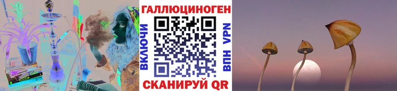 hydra вход  Рязань  Галлюциногенные грибы мицелий 