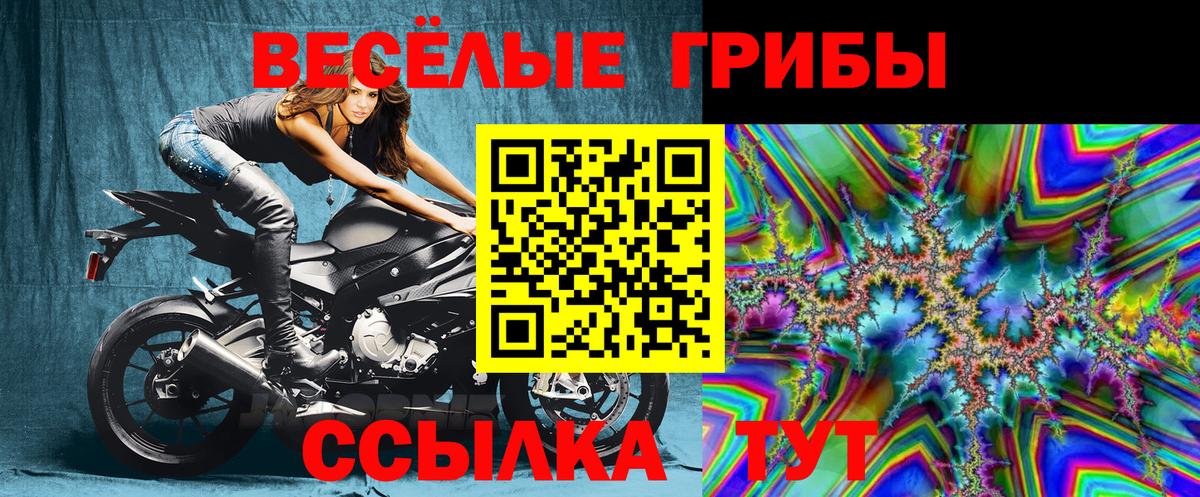 Рязань  Псилоцибиновые грибы Magic Shrooms  Вход с VPN 