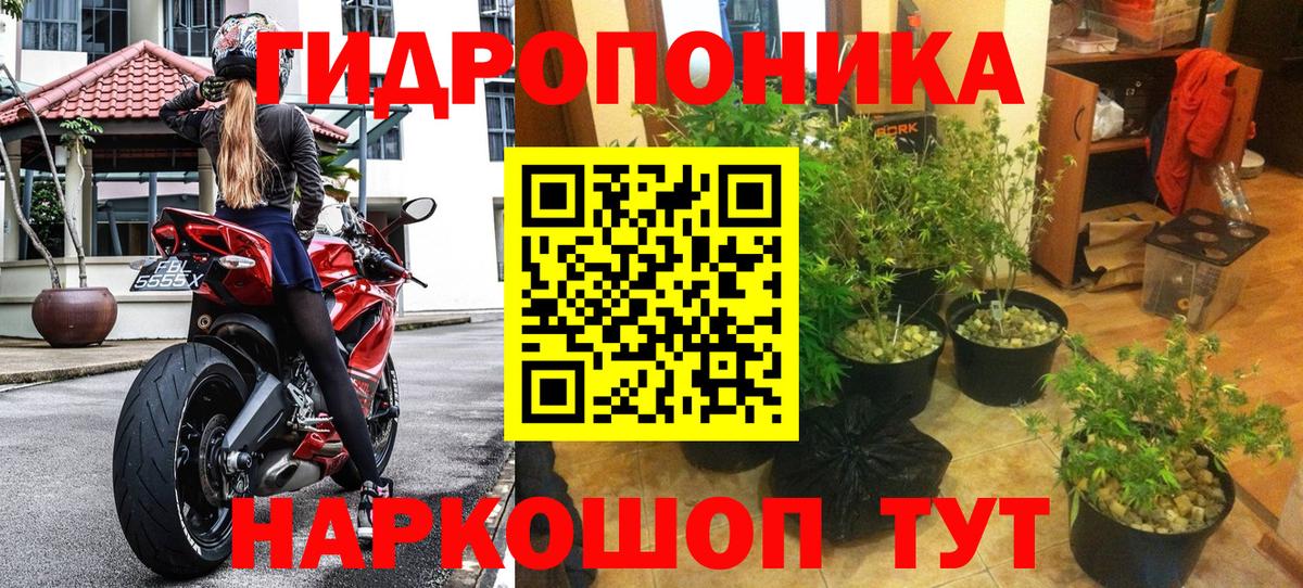 Бошки марихуана план Рязань